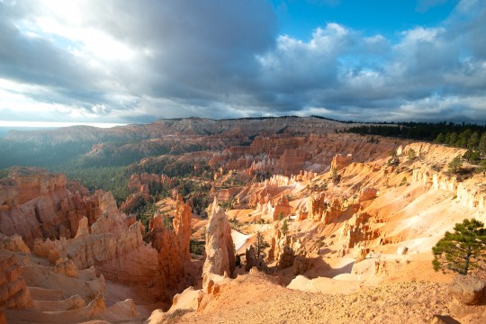 Morning Light, Bryce Canyon.